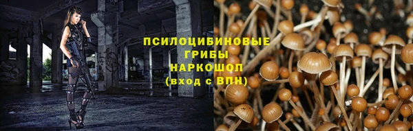 хмурый Абинск