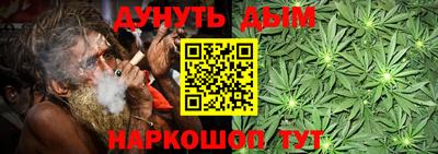 Альфа ПВП Дубна