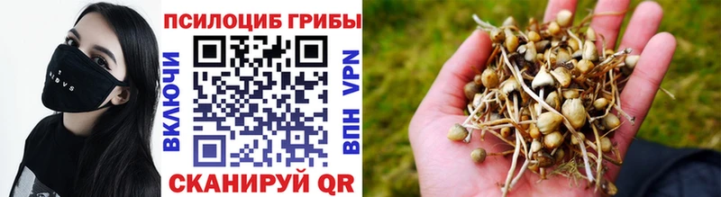 Галлюциногенные грибы Cubensis  блэк спрут ONION  Назрань 