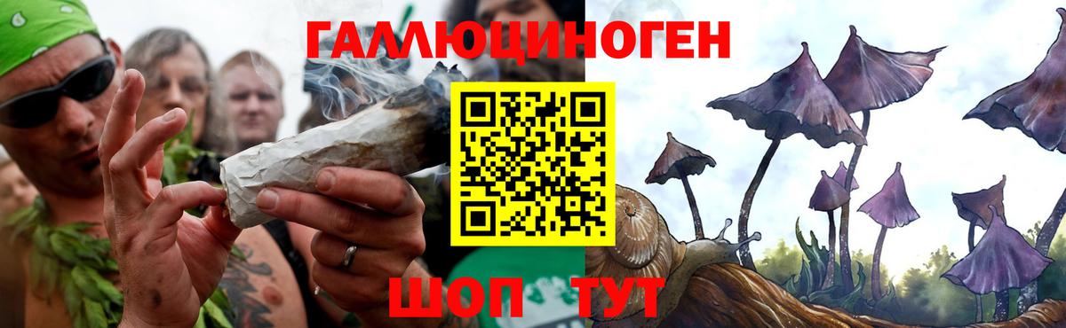 Галлюциногенные грибы мицелий  Псилоцибиновые грибы Psilocybine cubensis  Назрань  Вход с VPN 
